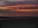 IMG_0560.JPG