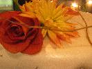 IMG_3768.JPG