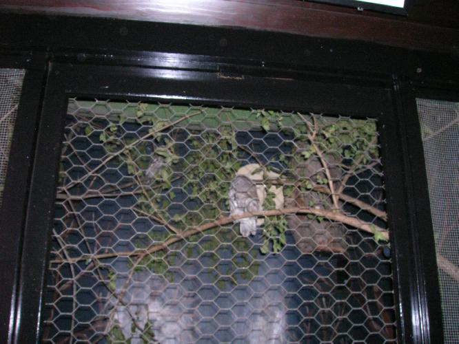 DSCN0413.JPG