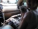 IMG_20140802_124107_014.jpg